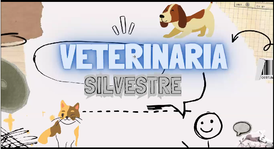 Veterinaria Silvestre 2